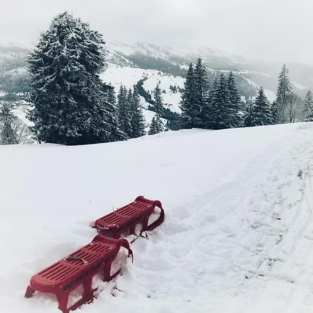 Beautiful In Toggenburg Wildhaus