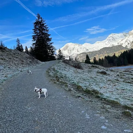 Beautiful In Toggenburg *