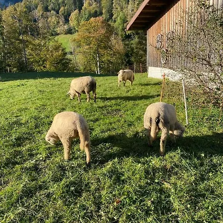 Beautiful In Toggenburg Apartamento Wildhaus