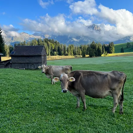 Beautiful In Toggenburg *