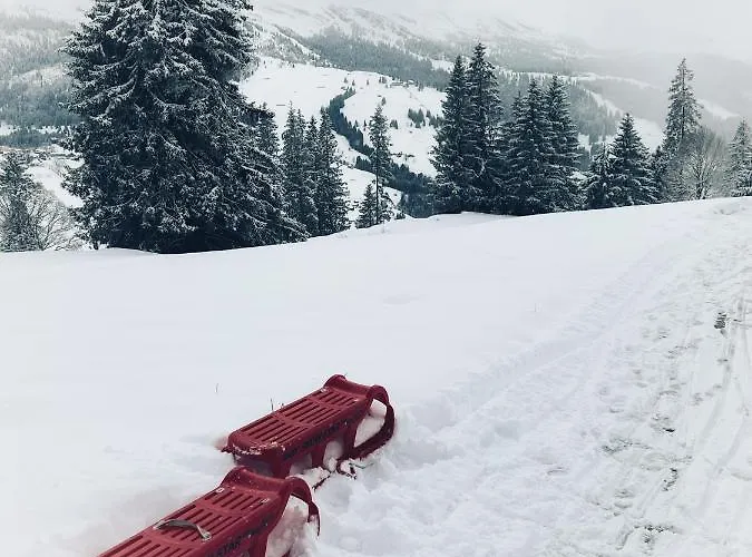 Beautiful In Toggenburg ويلدهاوس