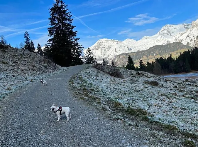 Beautiful In Toggenburg *