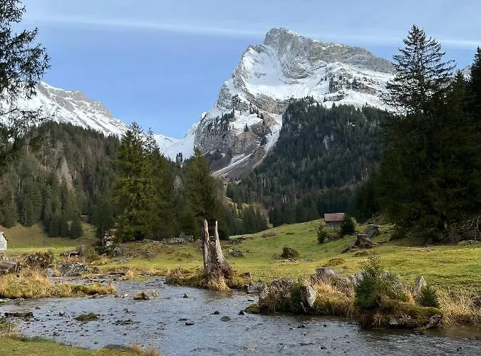 Apartment Beautiful In Toggenburg