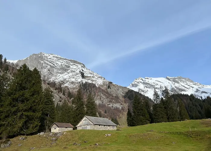 Beautiful In Toggenburg *