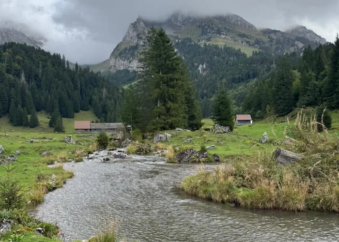 Beautiful In Toggenburg