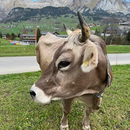 Beautiful In Toggenburg * 빌트하우스