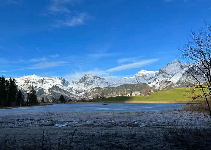 Beautiful In Toggenburg アパート ウィルトハウス
