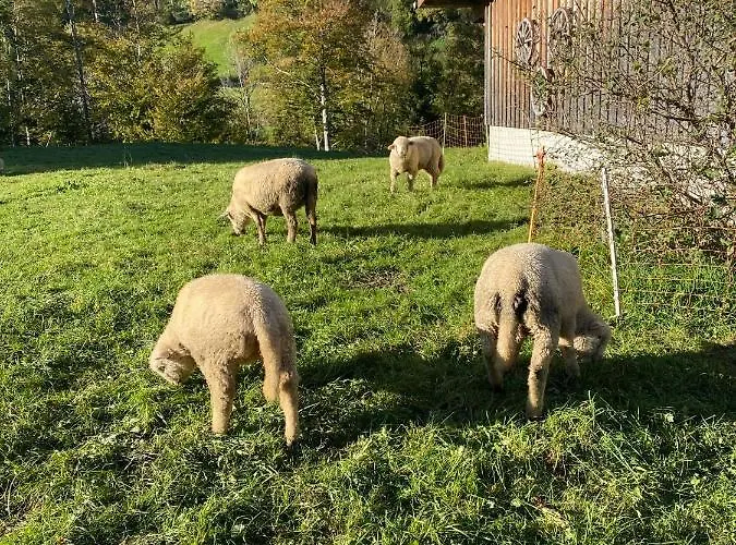 Beautiful In Toggenburg アパート ウィルトハウス