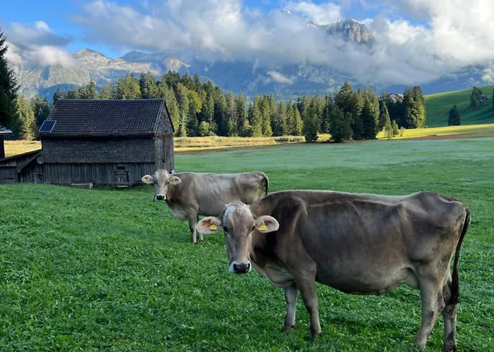 Beautiful In Toggenburg *